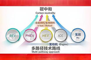 迈克-布朗：福克斯仍然是年轻球员 他会经历状态的起伏